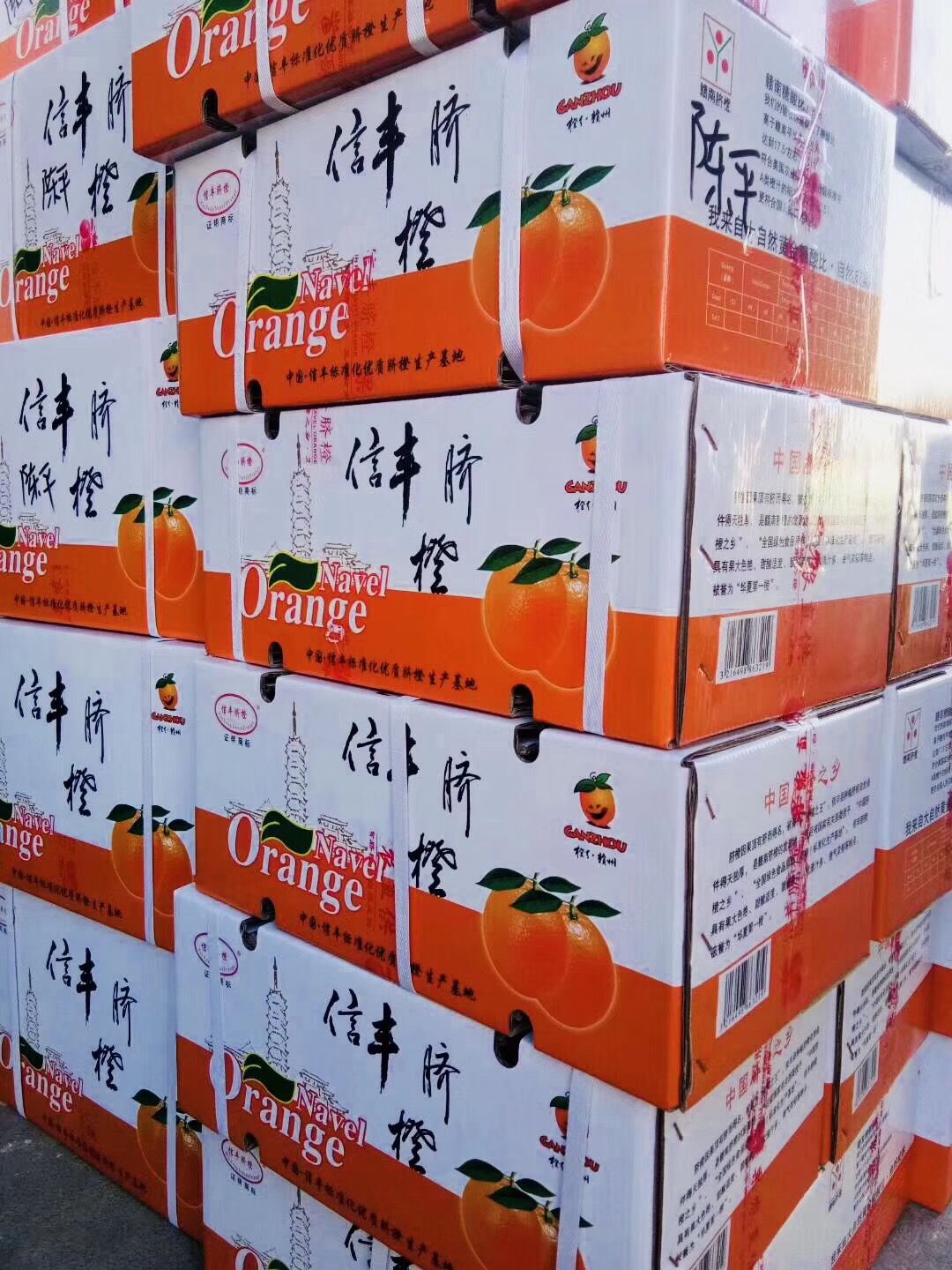 外貿云深圳運營中心-天地心網絡信豐臍橙禮品裝